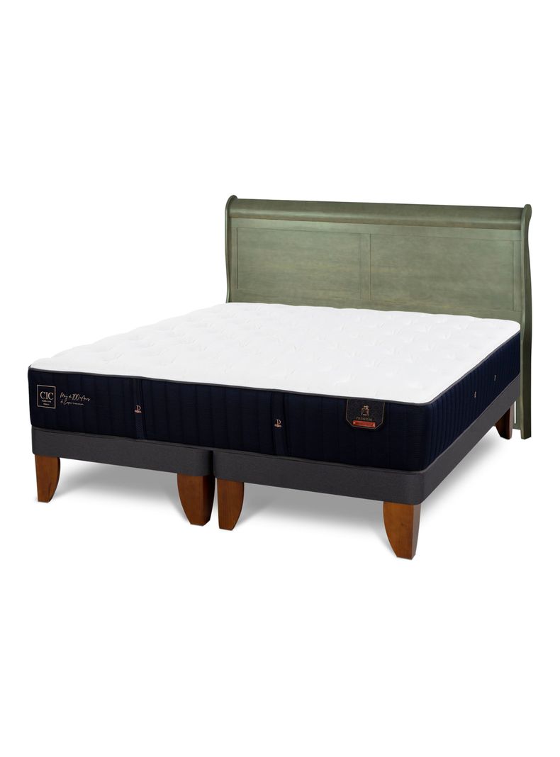 Cama Europea Premium 2 Plazas Base Dividida + Respaldo Miro Olivo-0