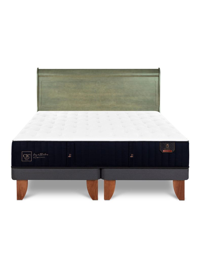 Cama Europea Premium King + Respaldo Miro Olivo-2