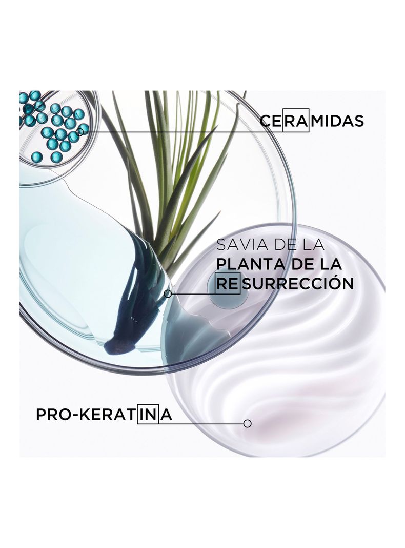 Set Cabello Dañado Resistance Shampoo 250ml + Acondicionador 200ml Kérastase-5