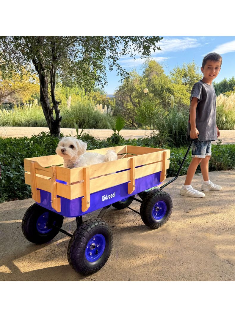 Carro de Arrastre Wagon Azul-4