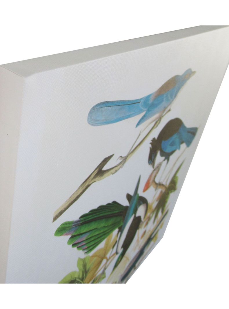 Canvas Pájaros 1-1