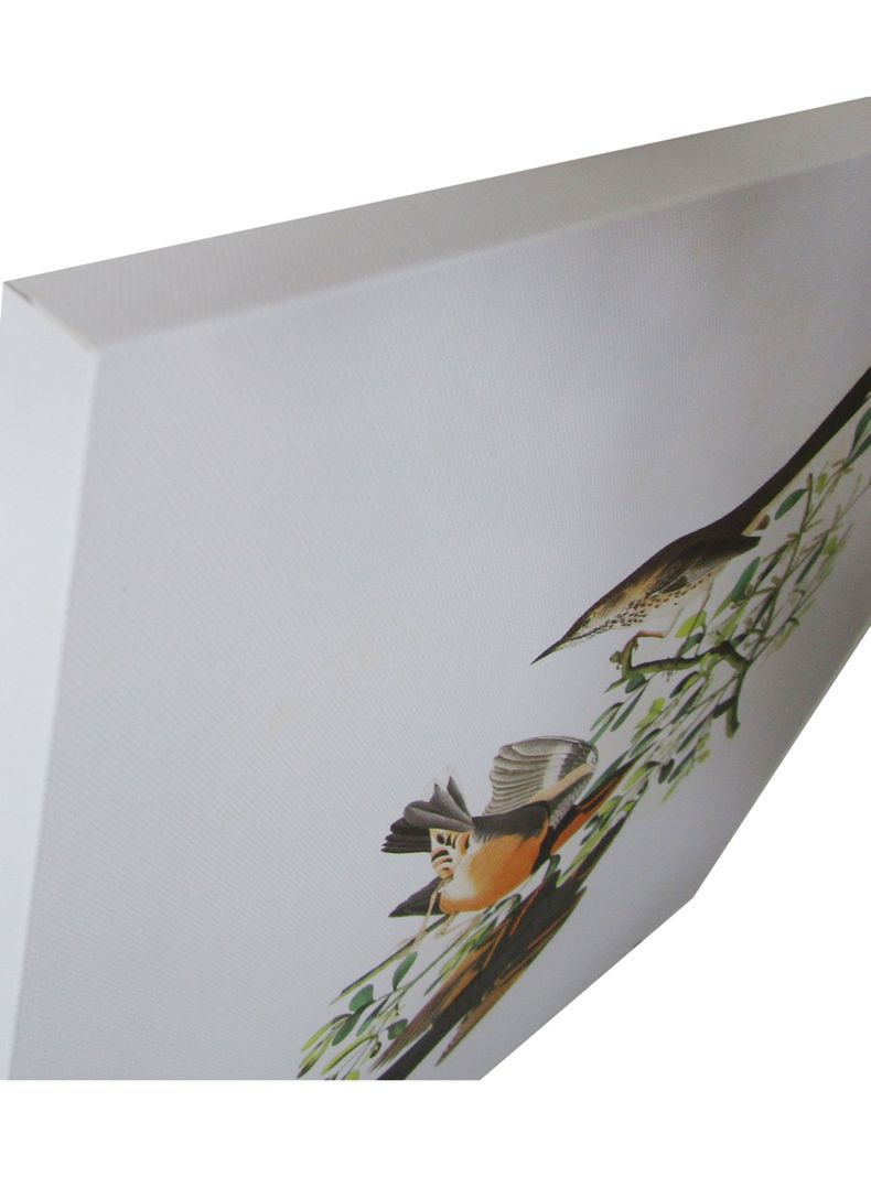 Canvas Pájaros 2-1