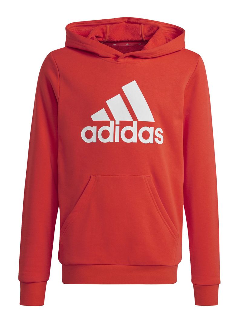 Polerón Not Sports Specific U Bl Hoodie Niño-5