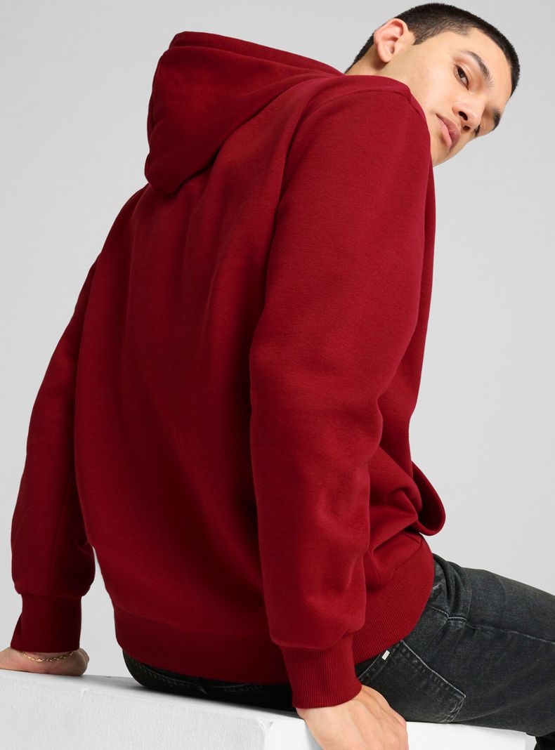 Polerón Logotipo Power Graphic Hoodie Fl-1
