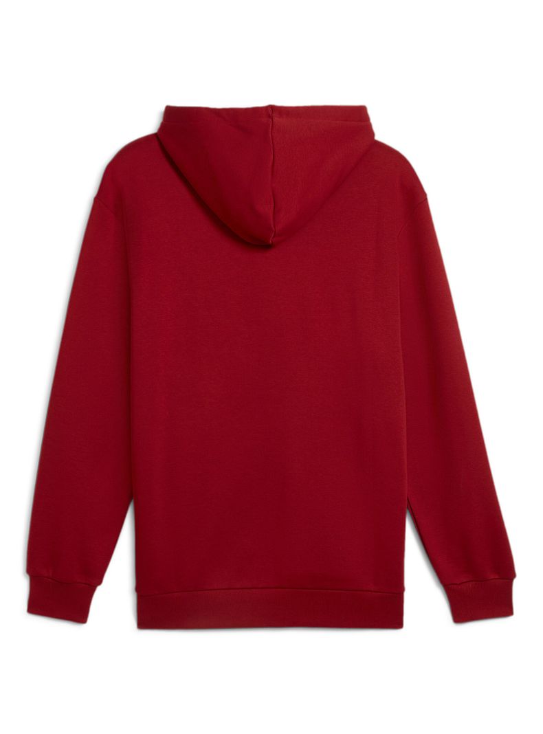 Polerón Logotipo Power Graphic Hoodie Fl-6