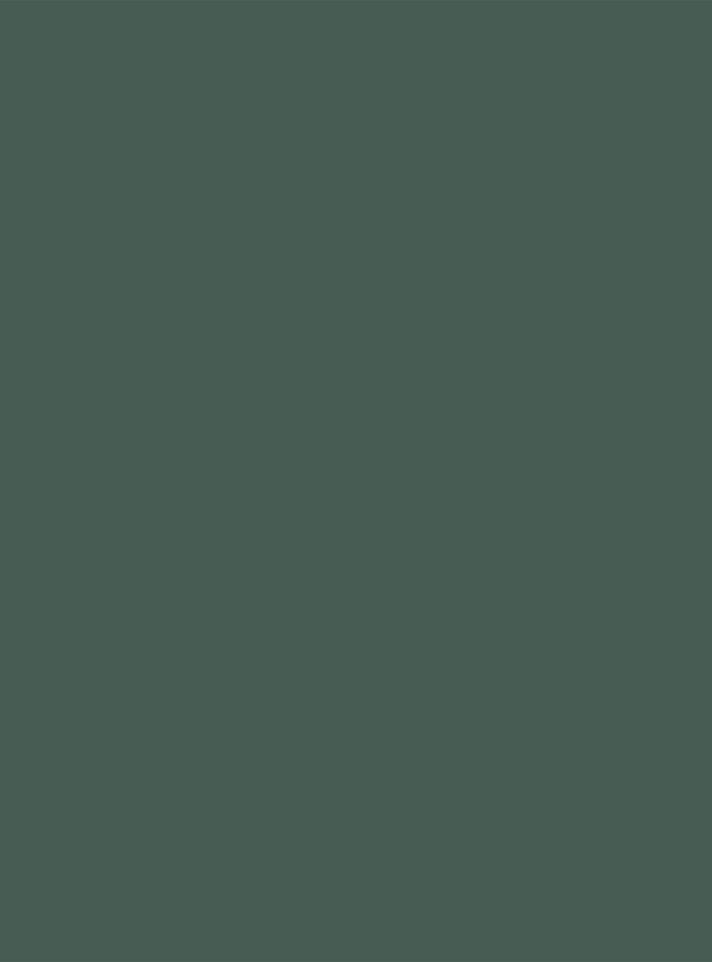 Delineador de Ojos Diorshow On Stage Liner 386 Pearly Emerald 0.55 ml-2