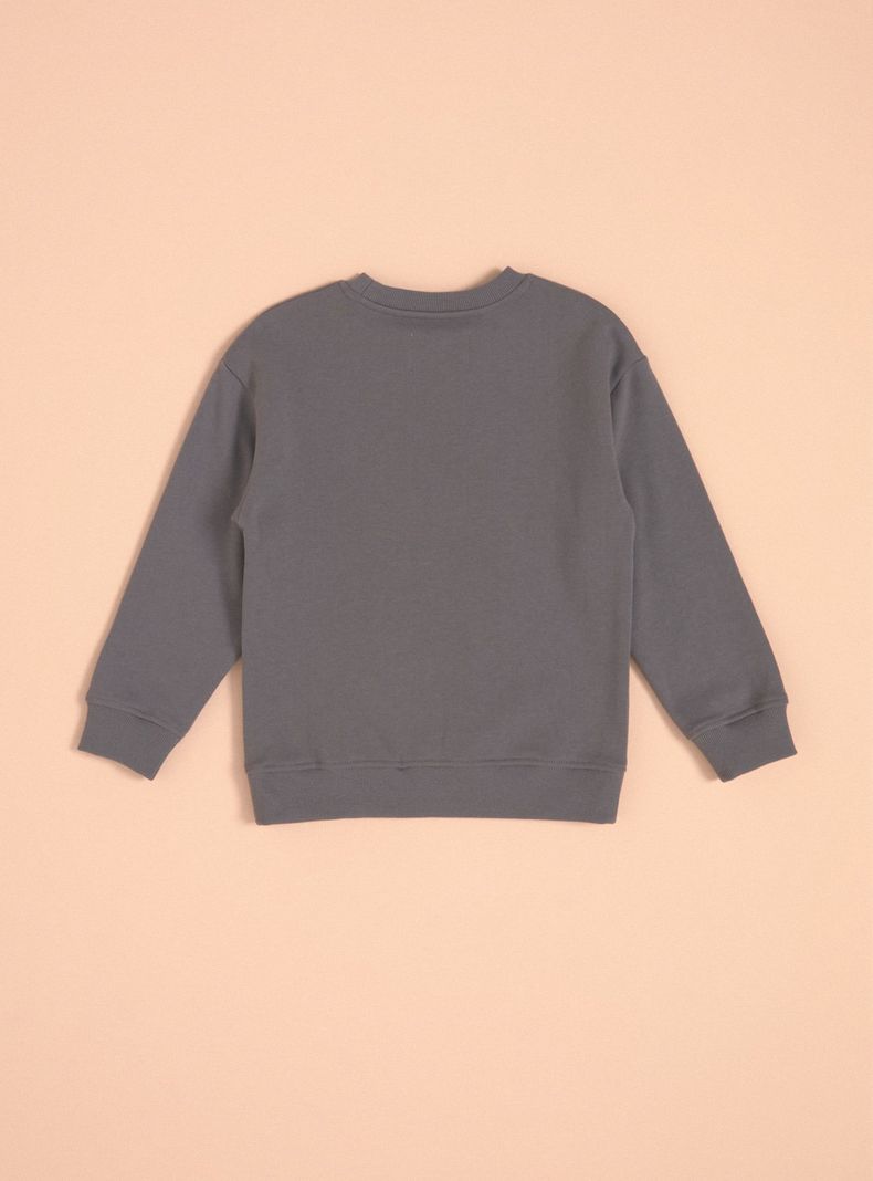 Polerón Fleece Crew Estampado Flock-3