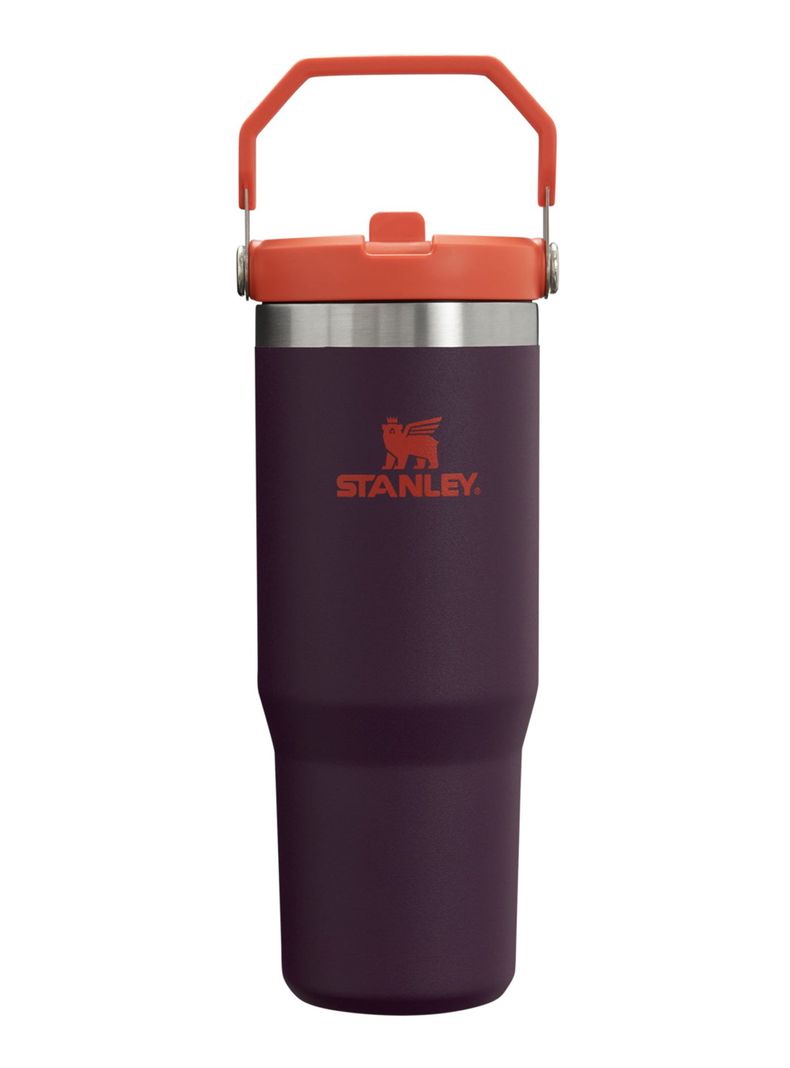 Botella Térmica Flip Straw Plum 887 ml-0