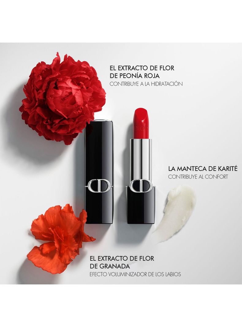 Labial Rouge Dior Satin 200 35 g-4