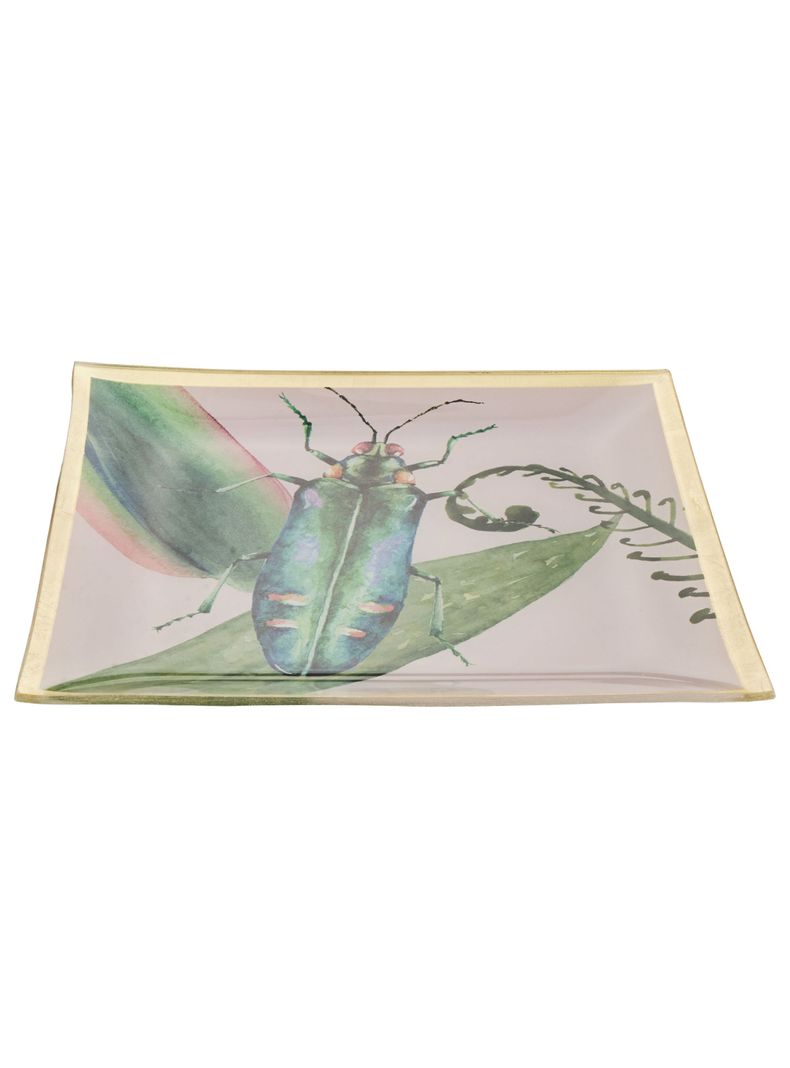 Plato Insecto 20 cm-1