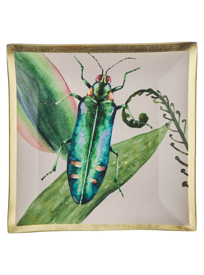 Plato Insecto 20 cm-0