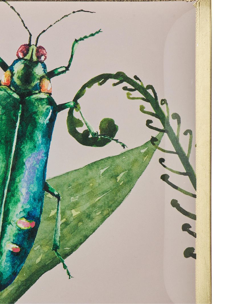 Plato Insecto 20 cm-2