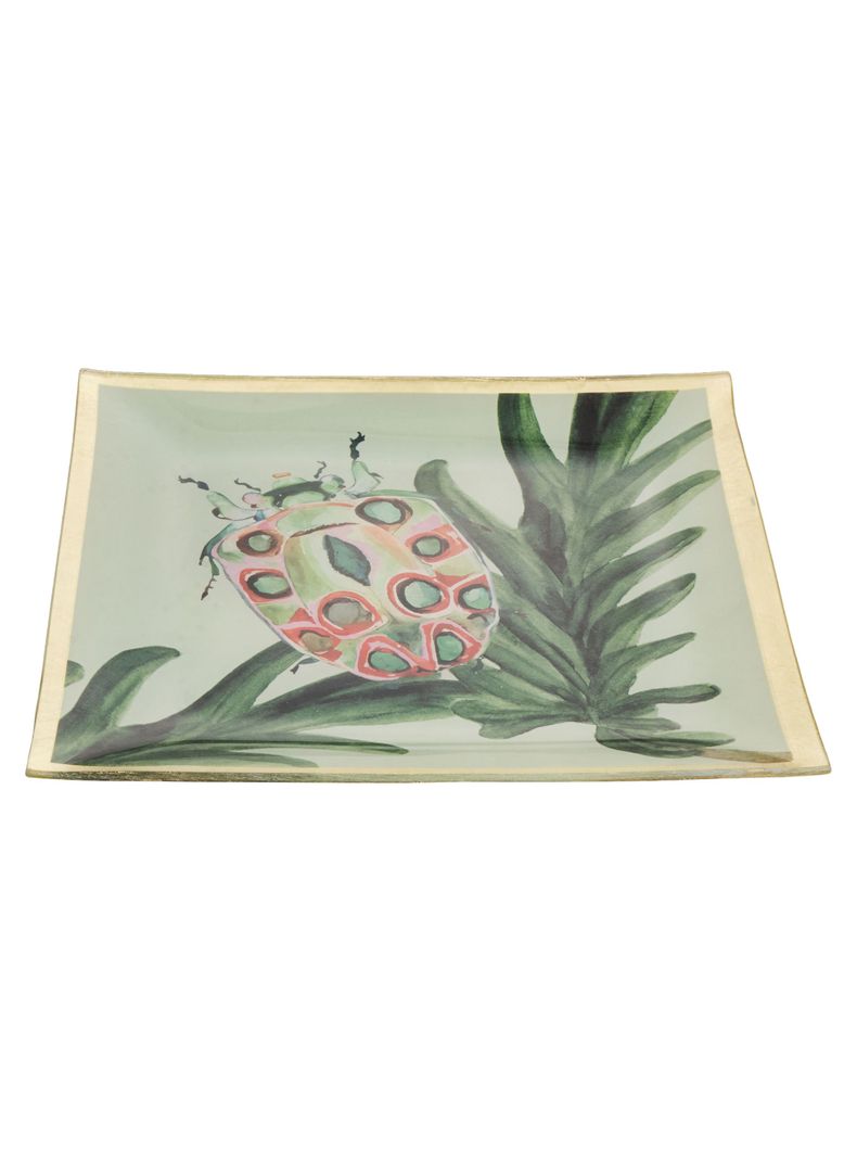 Plato Insecto 2 20 cm-1