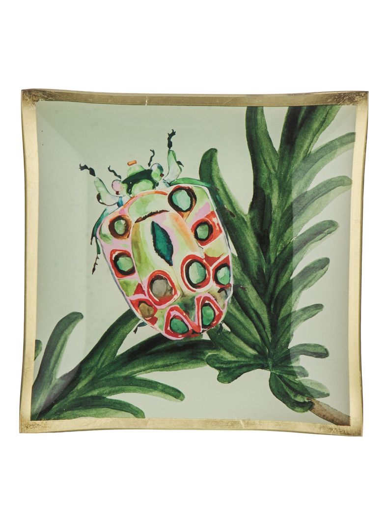 Plato Insecto 2 20 cm-0