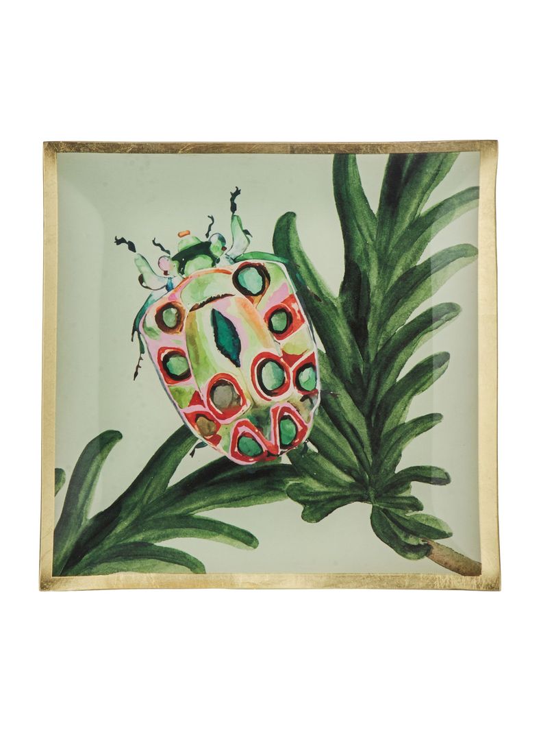 Plato Insecto 2 13 cm-0