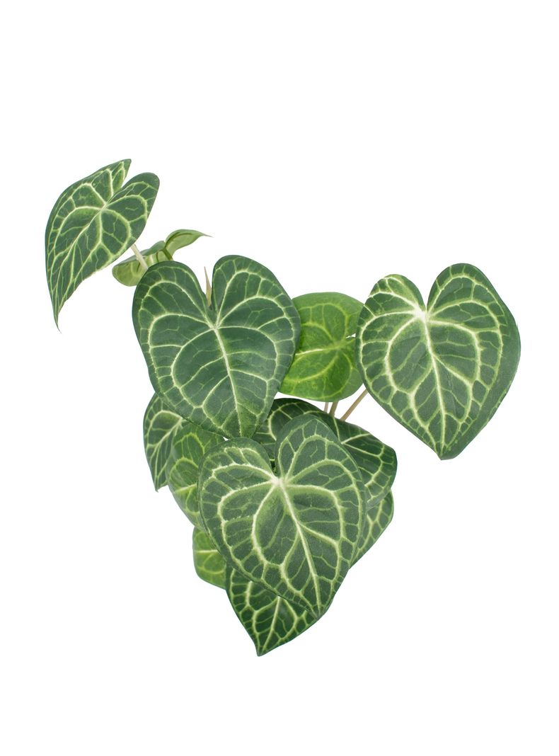 Planta Greenery 50 cm-2