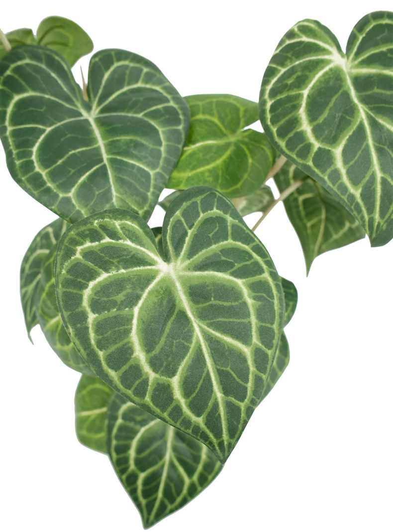 Planta Greenery 50 cm-3