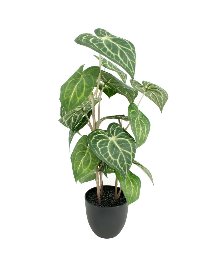 Planta Greenery 50 cm-0