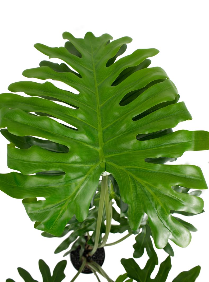 Planta Artificial Filodendro 104 cm-3