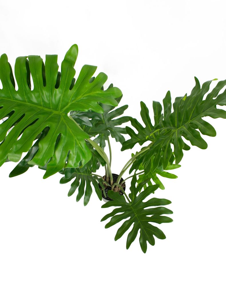 Planta Artificial Filodendro 104 cm-2