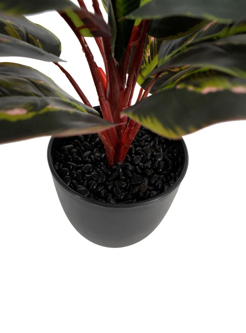 Planta Artificial Evergreen 35 cm-3