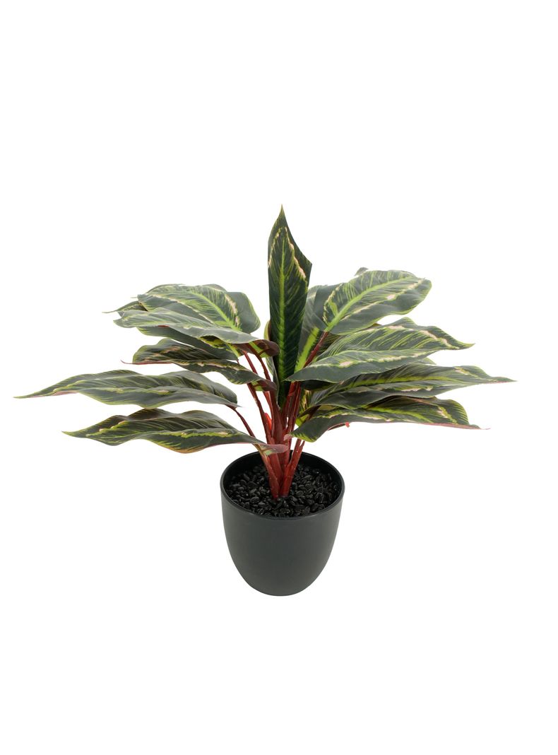 Planta Artificial Evergreen 35 cm-0