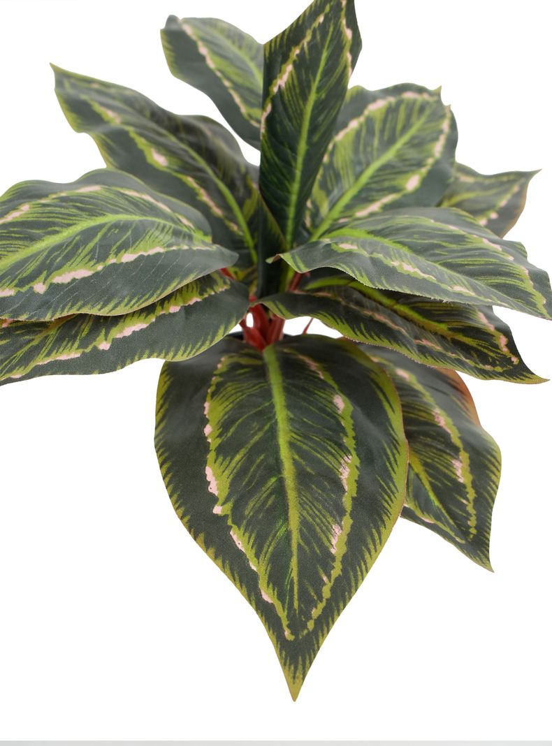 Planta Artificial Evergreen 35 cm-2
