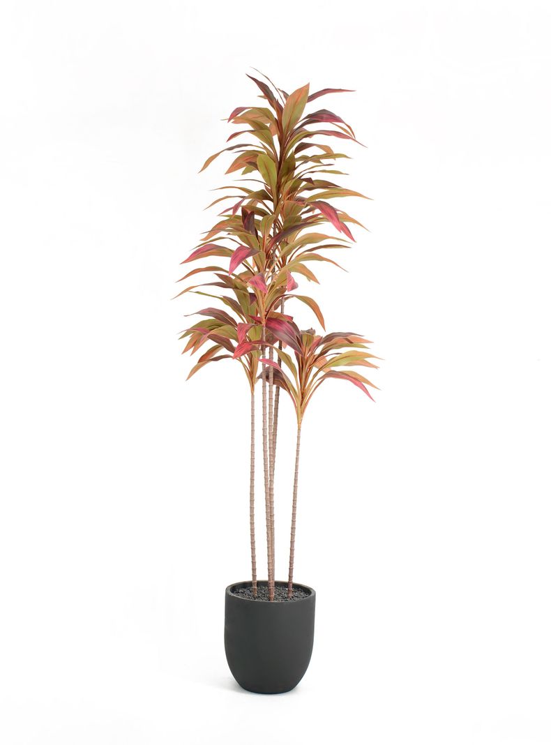Planta Artificial Cordyline 179 cm-1