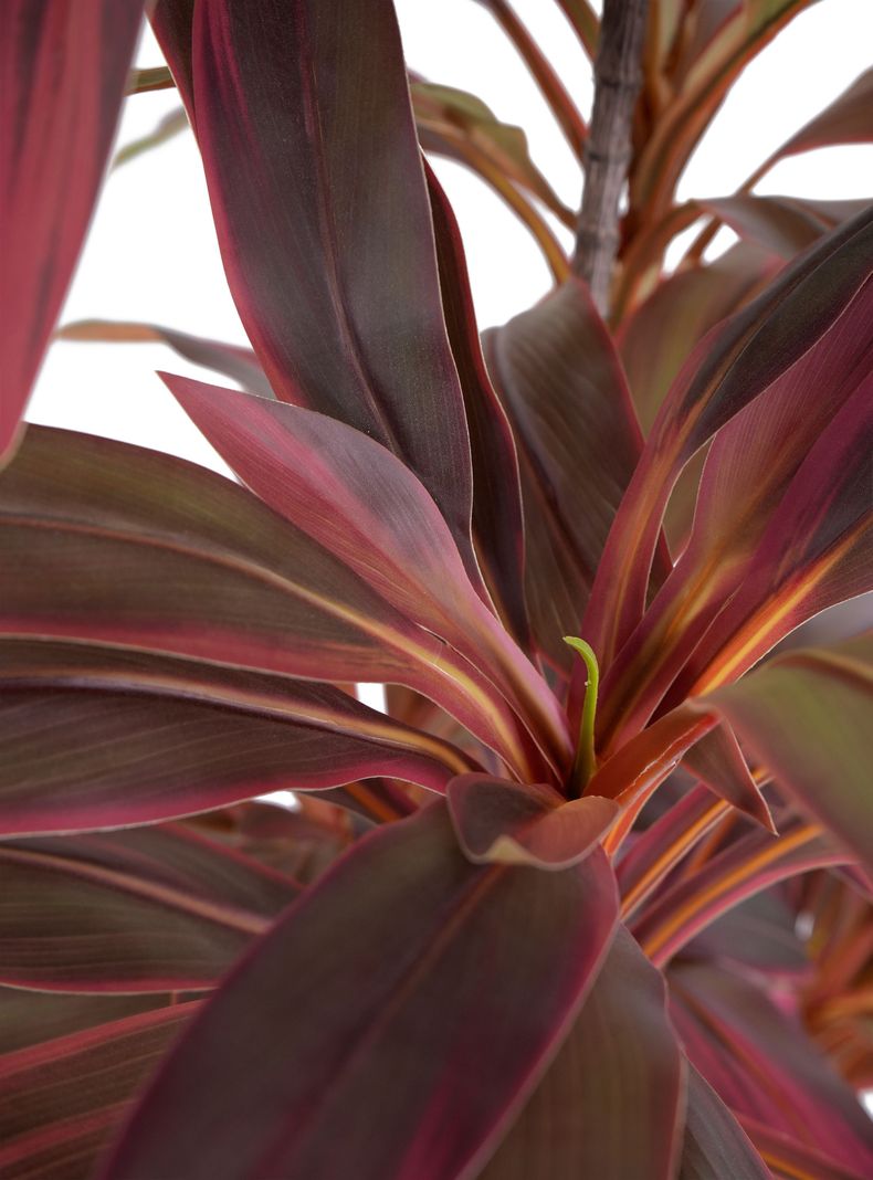 Planta Artificial Cordyline 179 cm-3