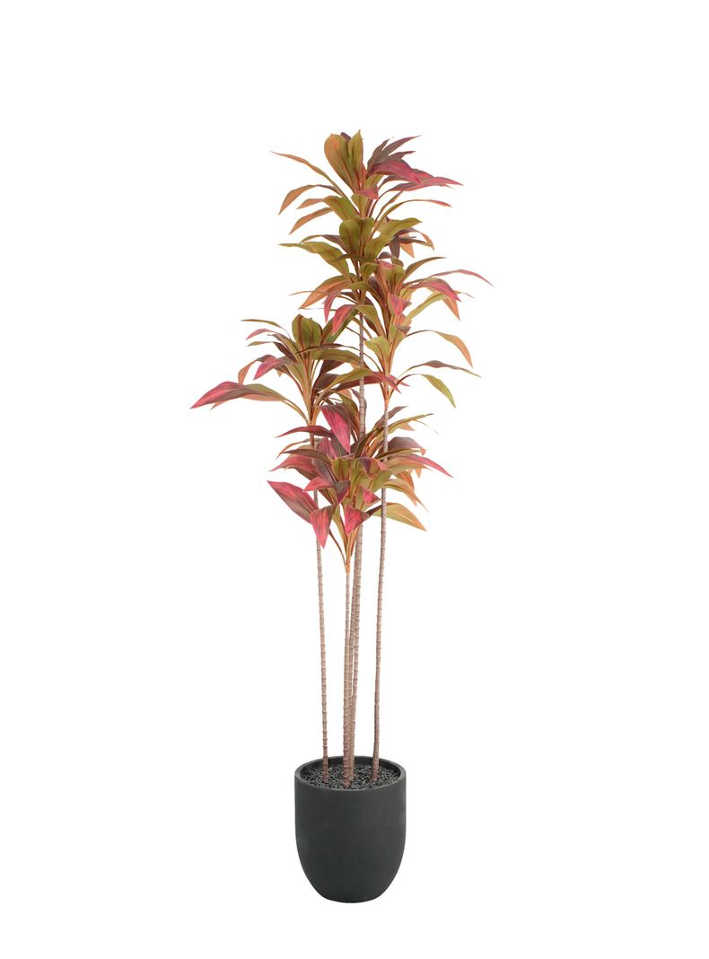 Planta Artificial Cordyline 179 cm-0