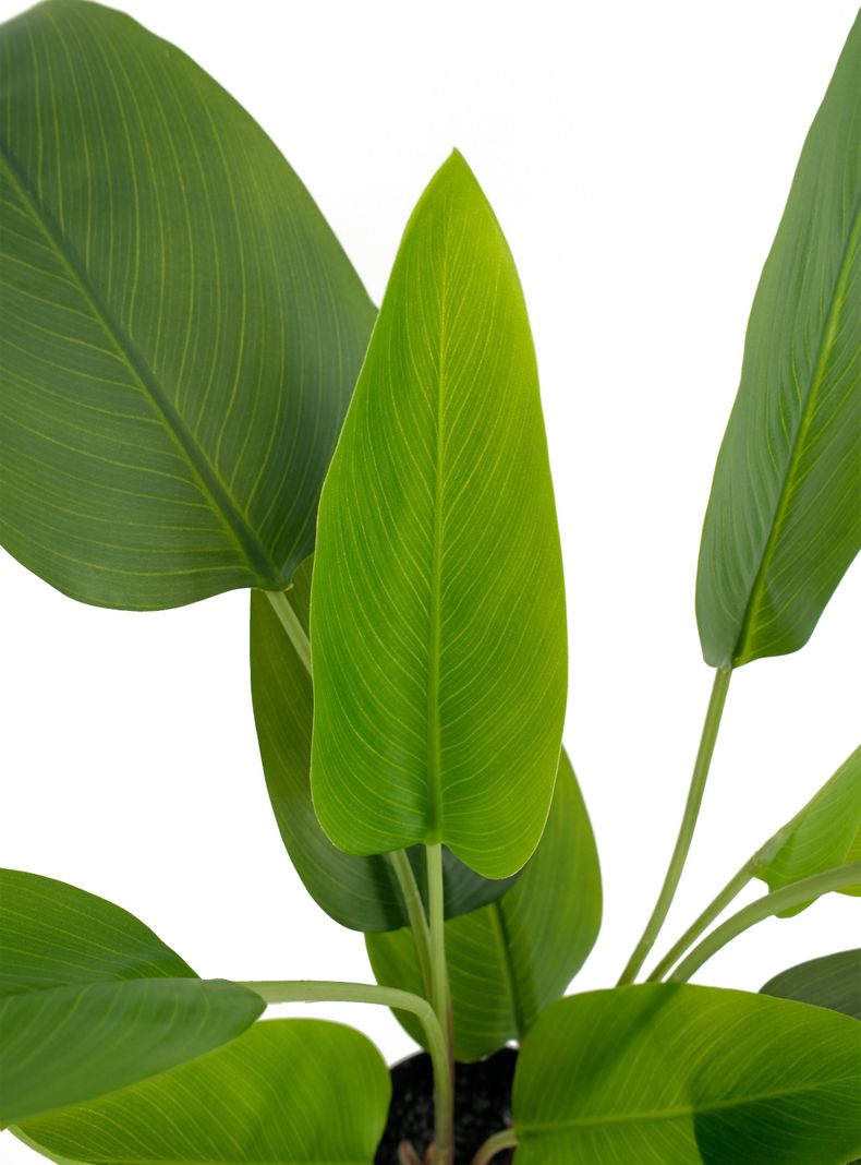 Planta Artificial Banana 60 cm-3