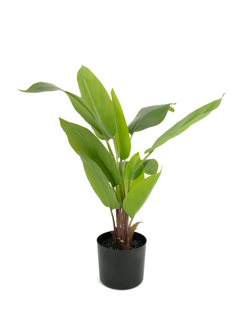 Planta Artificial Banana 60 cm-0