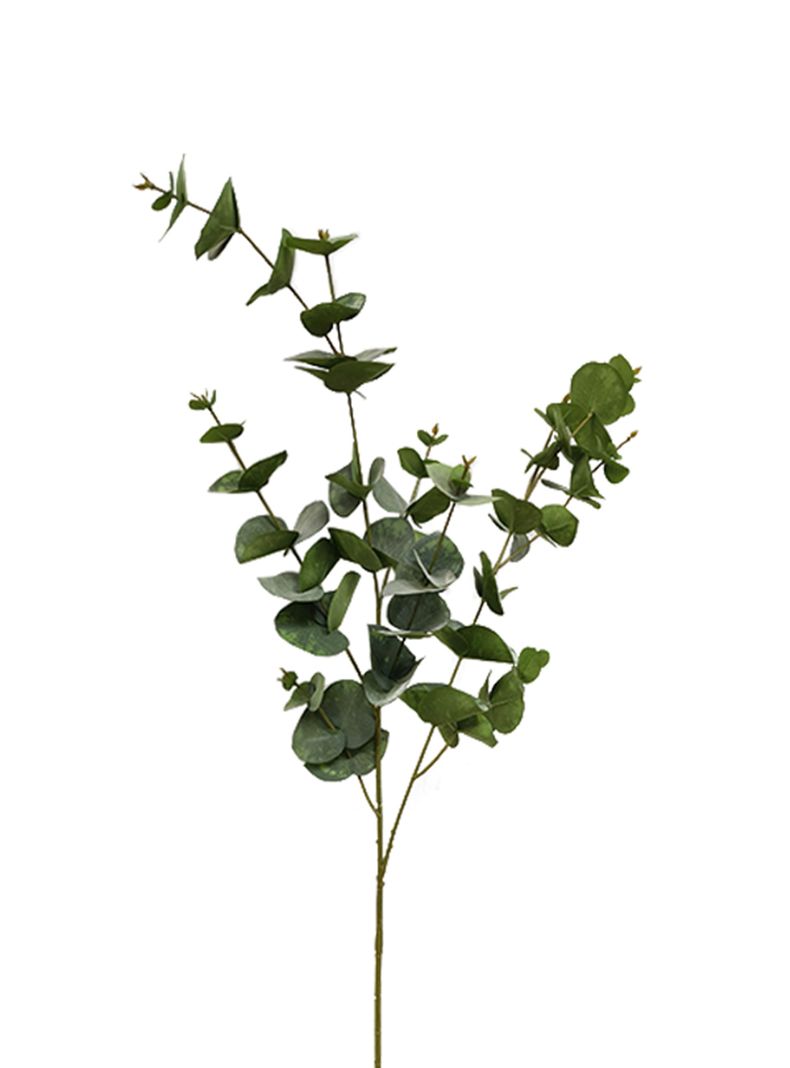 Rama Eucaliptus Verde 2 Piezas-2