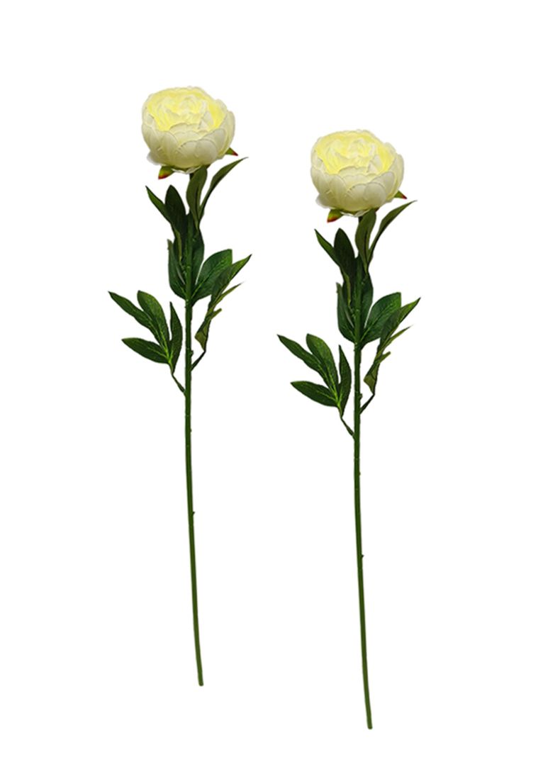 Peonia Blanco 2 Piezas-0