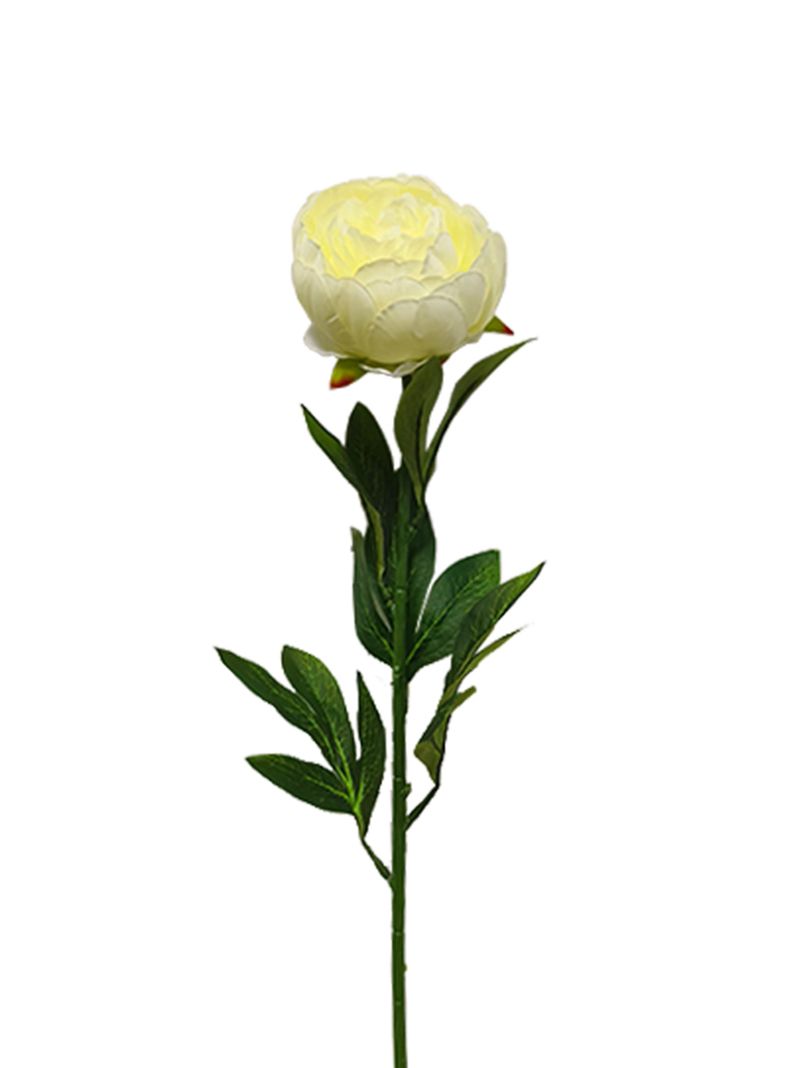 Peonia Blanco 2 Piezas-2