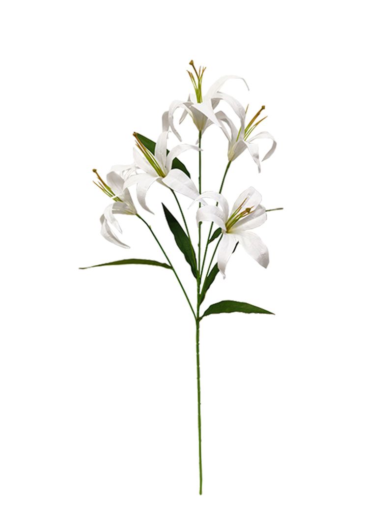 Lilium Blanco 2 Piezas-1