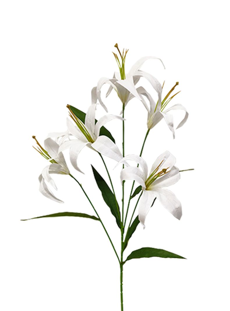 Lilium Blanco 2 Piezas-2