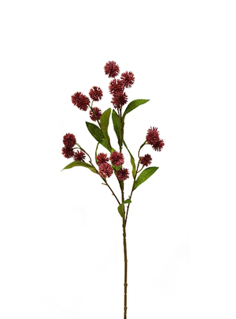 Ramas de Wasberry 2 Piezas-2