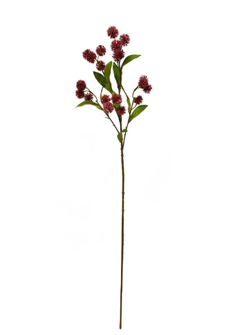 Ramas de Wasberry 2 Piezas-1