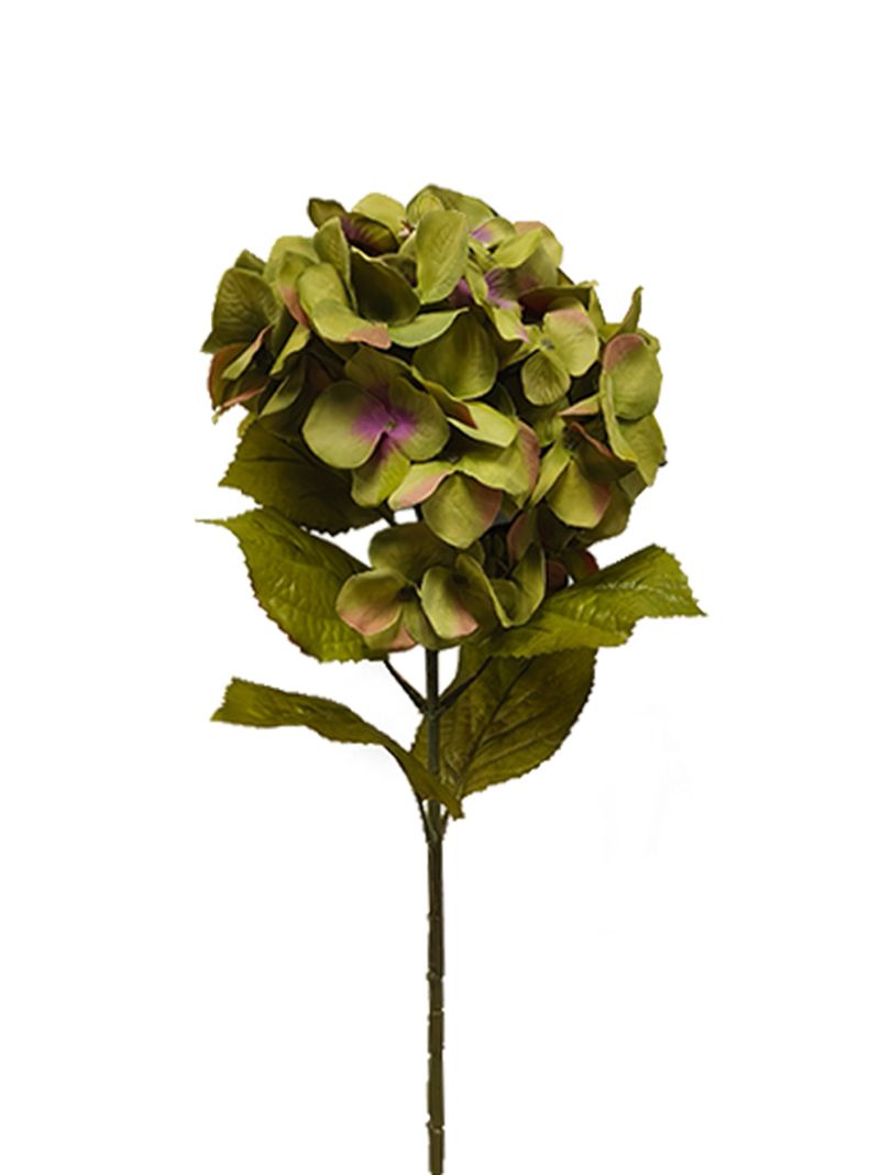 Hortensia Verde 2 Piezas-2