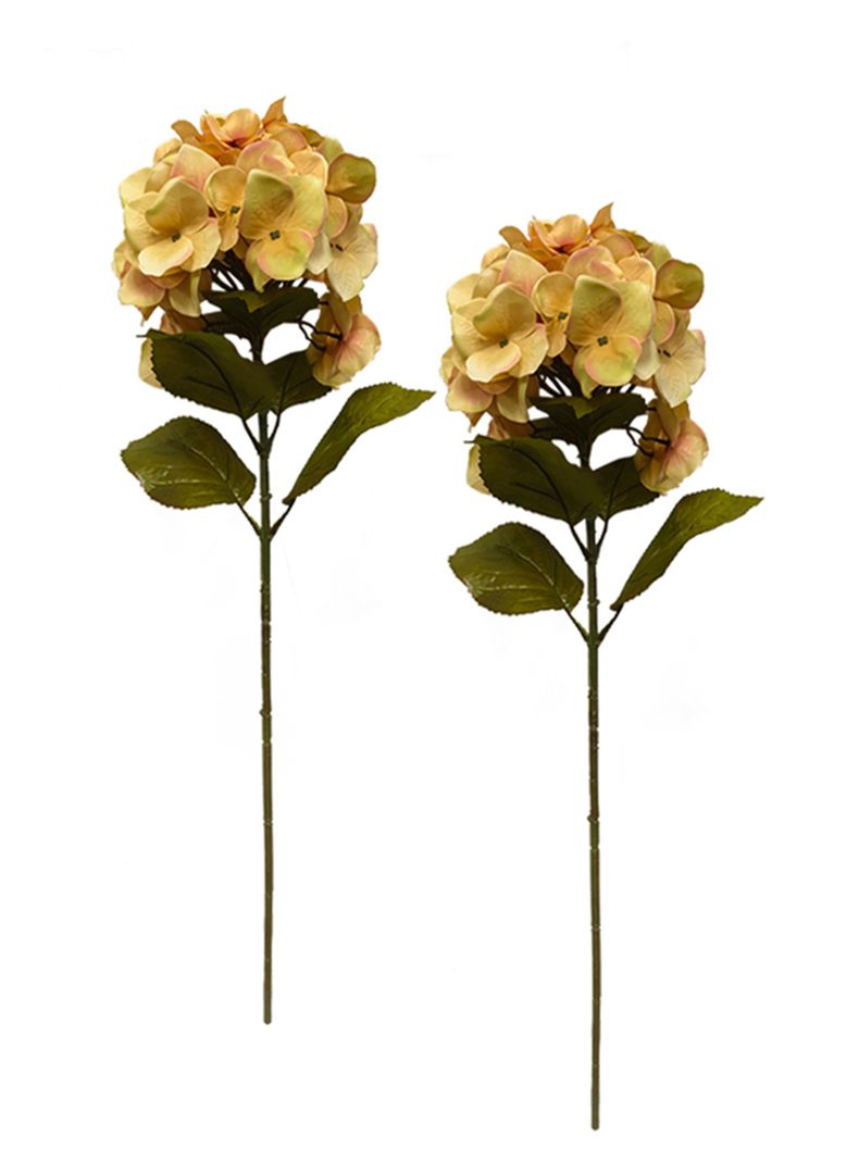 Hortensia Beige 2 Piezas-0