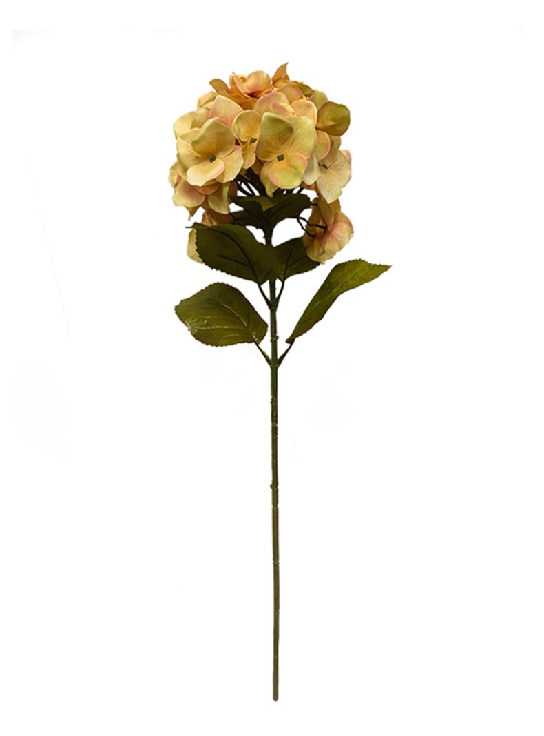 Hortensia Beige 2 Piezas-1