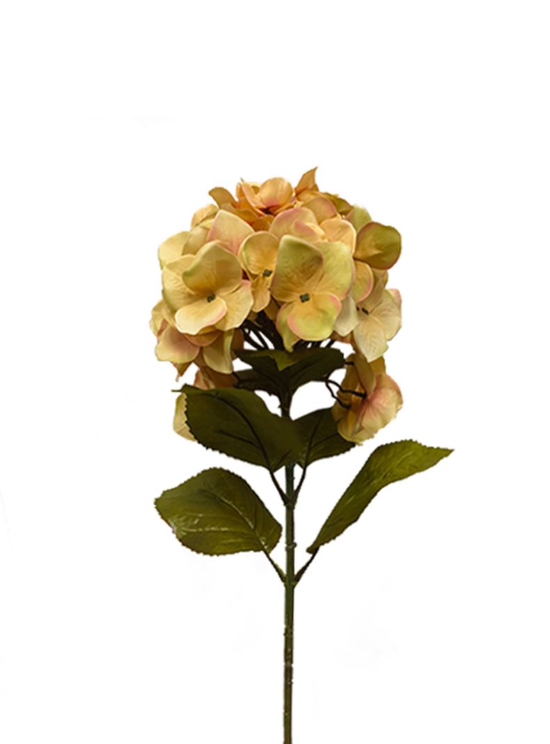 Hortensia Beige 2 Piezas-2