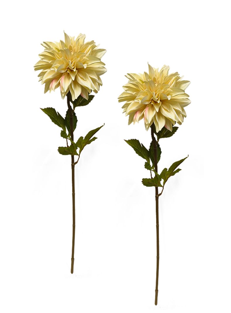 Flor Dalia Crema 2 Piezas-0