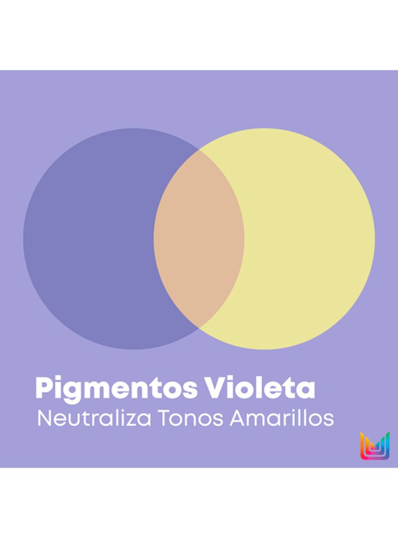 Acondicionador Pigmentado Morado Cabellos Rubios y Grises So Silver 300ml Matrix-4