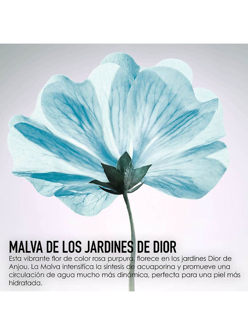 Crema Dior Gel de Ojos Hydra Life 15 ml-4