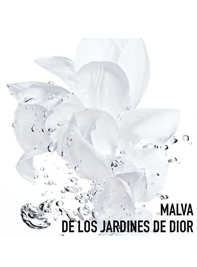 Tónico Dior Hydra Life Sorbet 175 ml-2