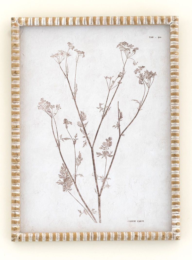 Cuadro Rama B 30x40 cm-0
