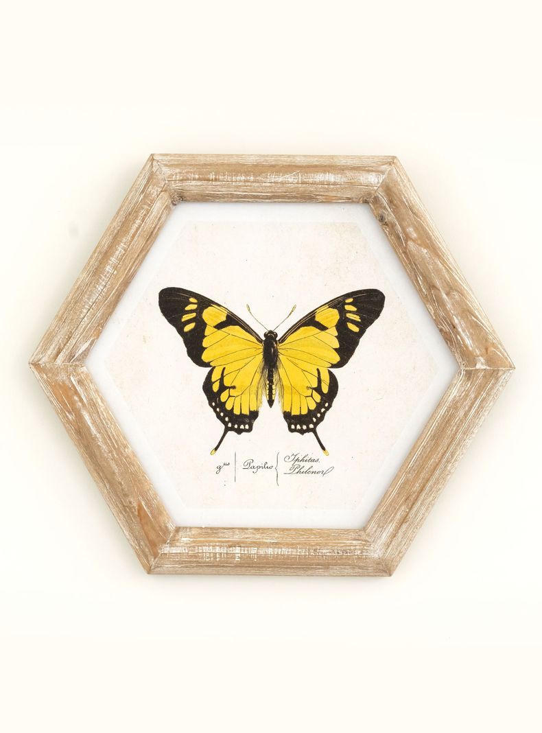 Cuadro Mariposa 26x30 cm Amarilla-0