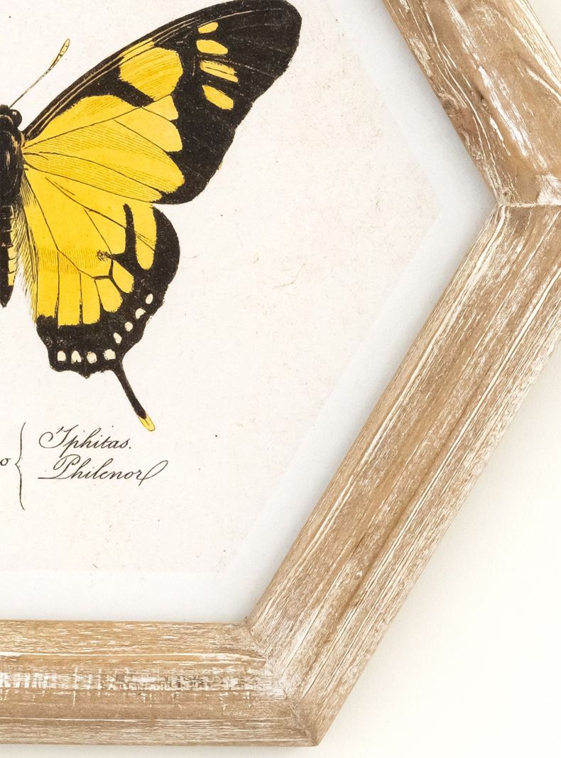 Cuadro Mariposa 26x30 cm Amarilla-1